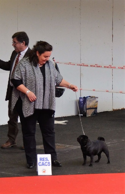 De L'Enchantement Des Muses - Rouen 2016 